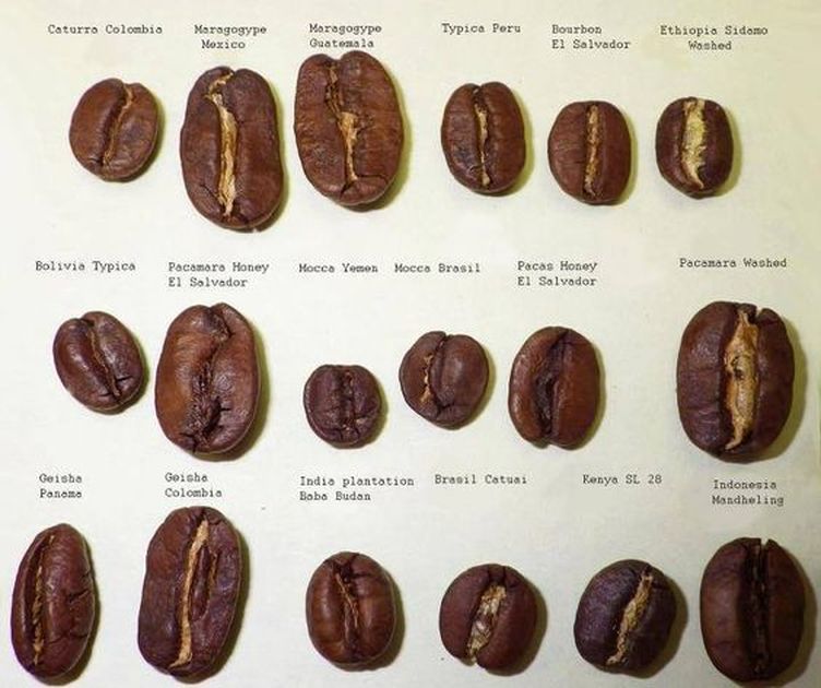 Beans / Origins Coffee Culture